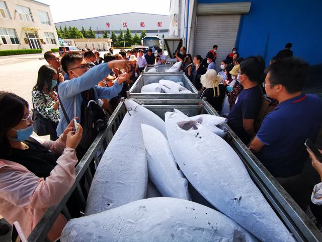 【走向我們的小康生活】山東威海：加快漁業(yè)轉型升級駛向“深藍”